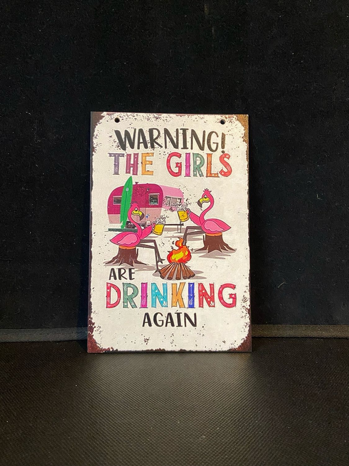 Hanging Sign. The Girls Are Drinking Again.