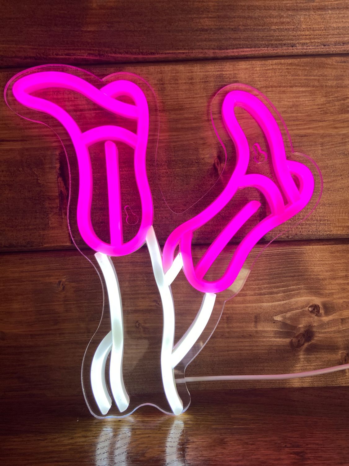 Neon Light - CowGirl Boots Pink/White