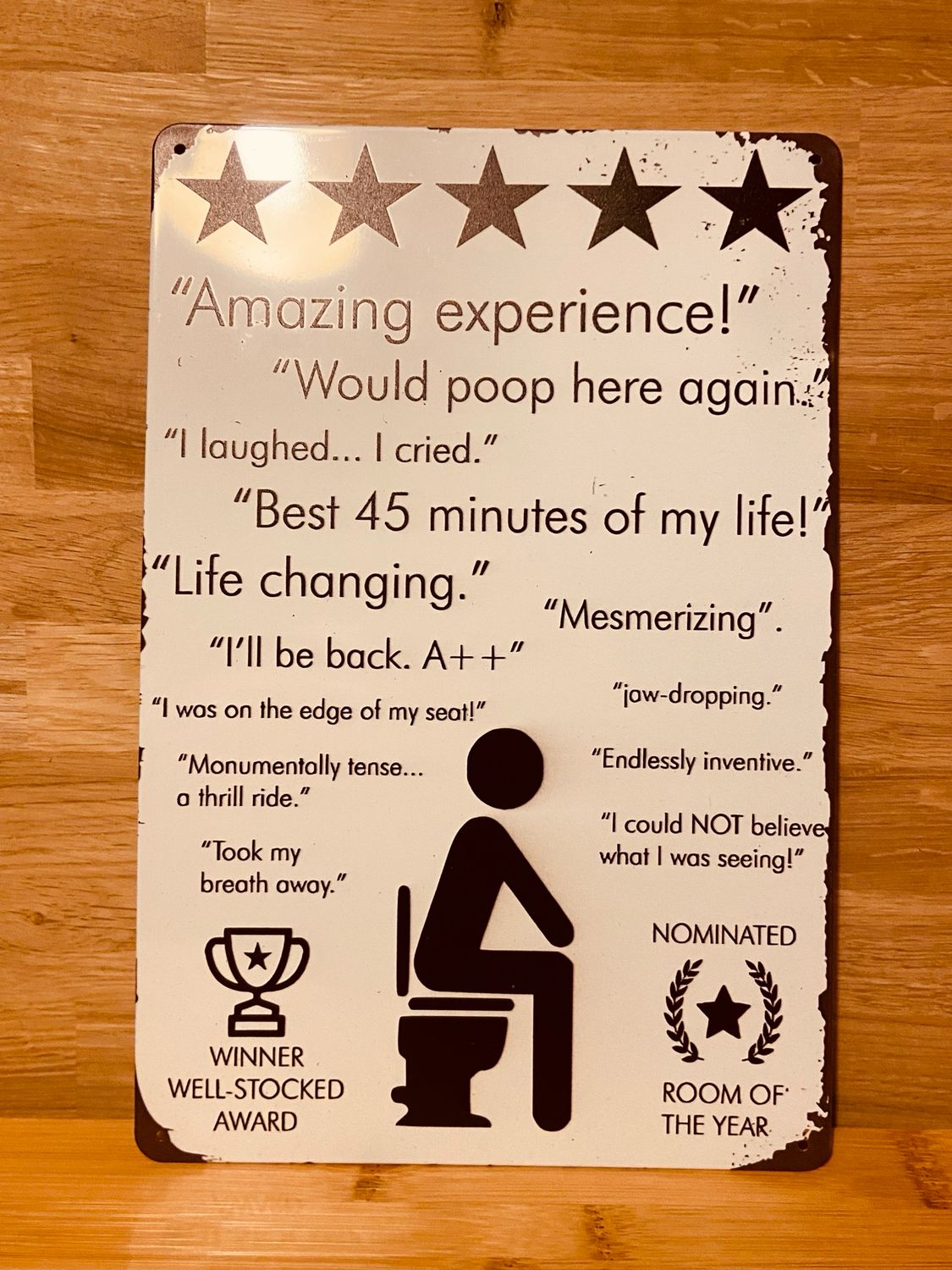 Metal Sign - Toilet Review