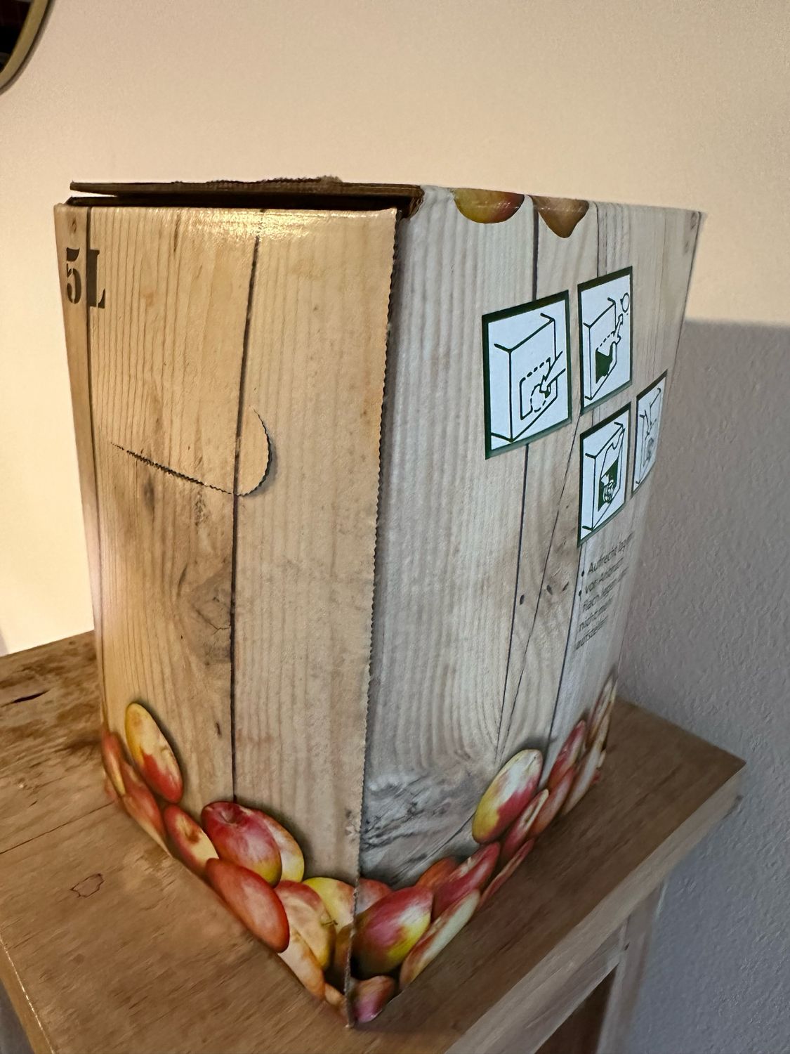 5l Rasch' s Bester Apfelsaft (BaginBox)