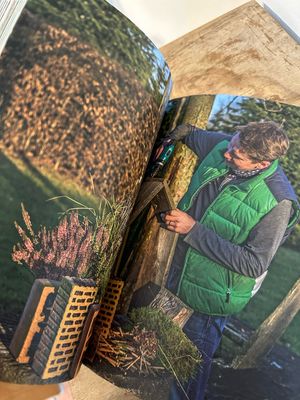 Rasch durch den Garten: Das NDR Gartenbuch Band 1
