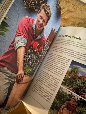 Rasch durch den Garten: Das NDR-Gartenbuch – Band 2
