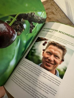 Rasch durch den Garten: Das NDR-Gartenbuch – Band 3