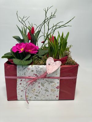 Die „rasche“ Pflanzkiste in pink
