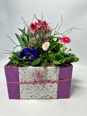 Die „rasche“ Pflanzkiste in lila