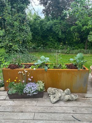 Das Hochbeet zur Sendung