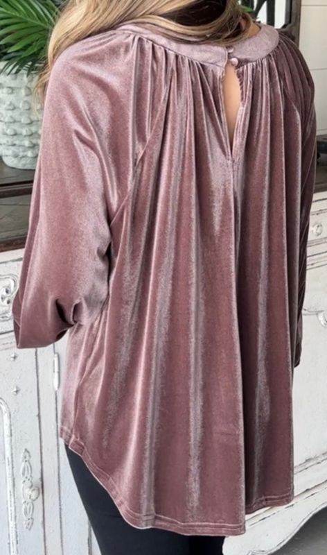 Rose Velvet Bubble Sleeve Top JA