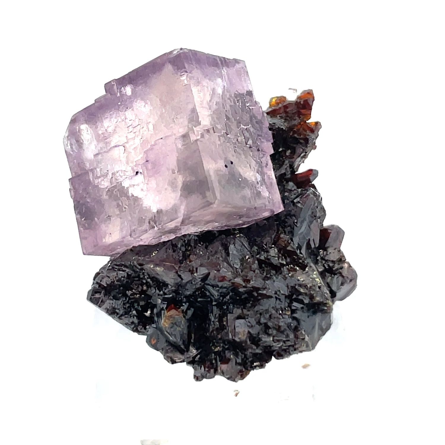 Fluorite and Sphalerite #64