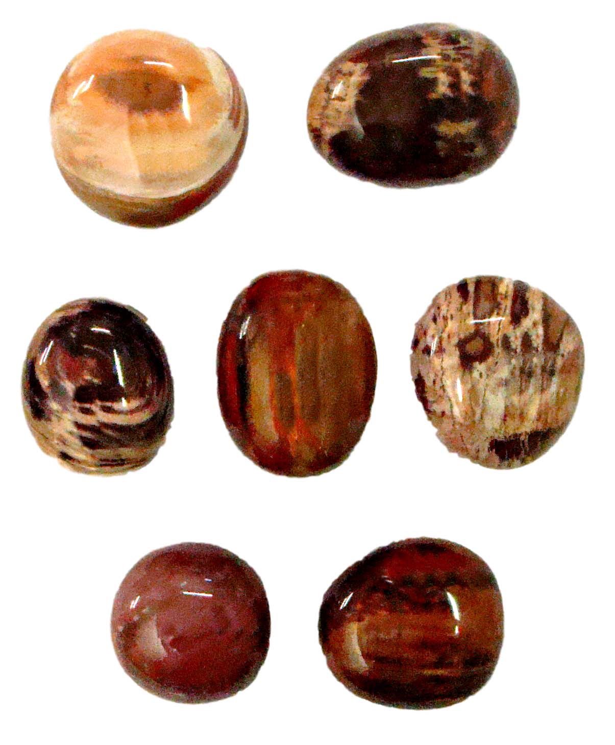 Med Petrified Wood Gallets