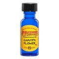 Champa Flower Oil*