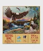 "Arriving Home" Puzzle