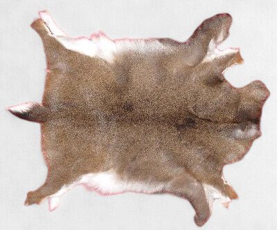 Hair-On Deer Full Hide