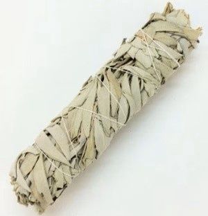 8-9" White Sage