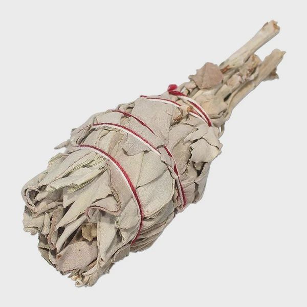 3" Cal Wht Sage MINI