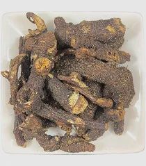 Osha Root (dried 1 oz)