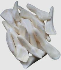 Buffalo Teeth White Drilled 100Pk