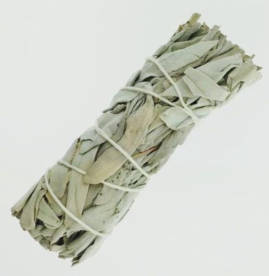 4" Calif White Sage
