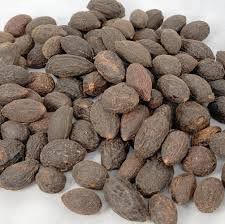 Saw Palmetto Berry (1 oz.)