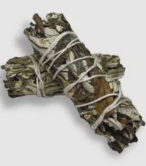 4" Sage w/Yerba Santo*