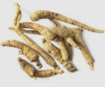 Ginseng Root (1oz)