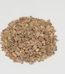 Wild Yam (1oz)