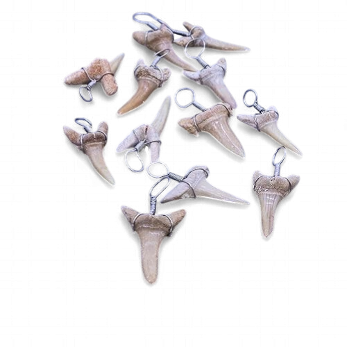 Shark Tooth Wire 3/4-1"*