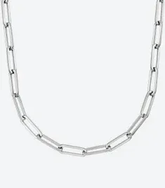 SS Paperclip Chain 24in