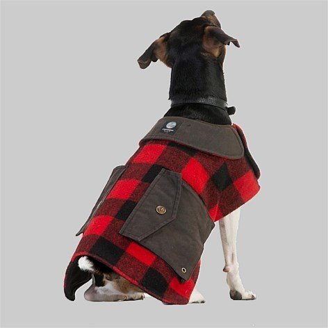 swanndri dog coat