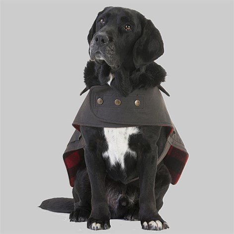 swanndri hunter oilskin dog coat