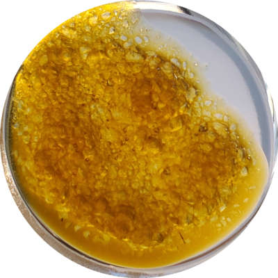 Tangie Breath HCFSE Terp Diamonds Tangie Breath HCFSE Terp Diamonds