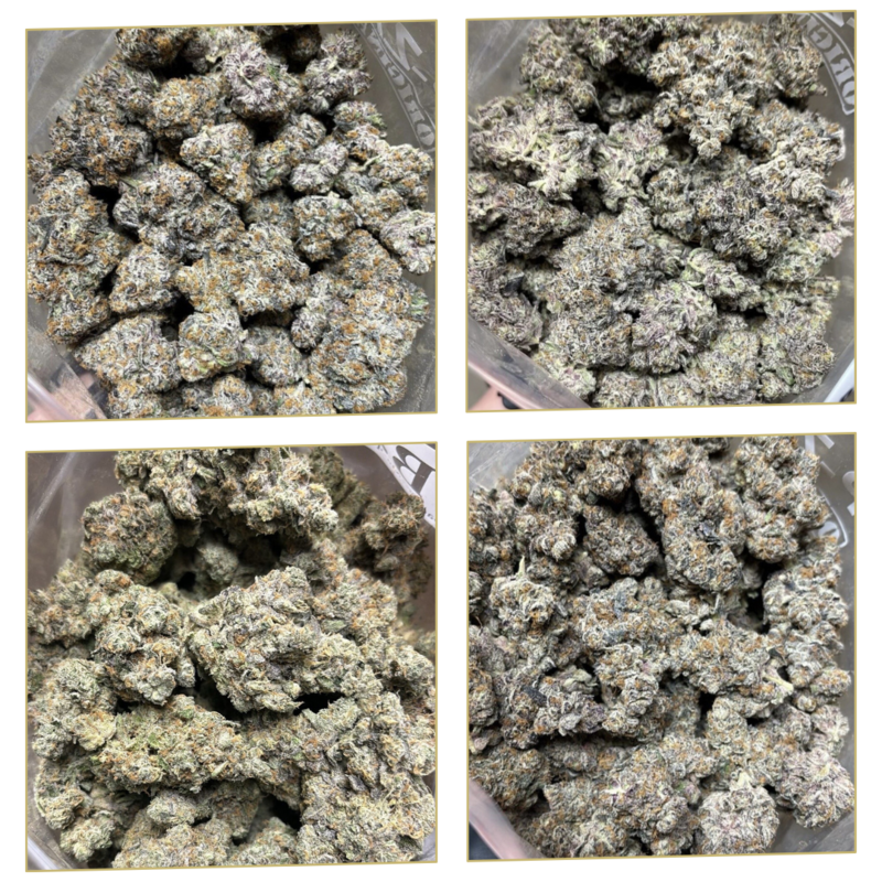 1P AAAA+ LSO VARIETY FLOWER
