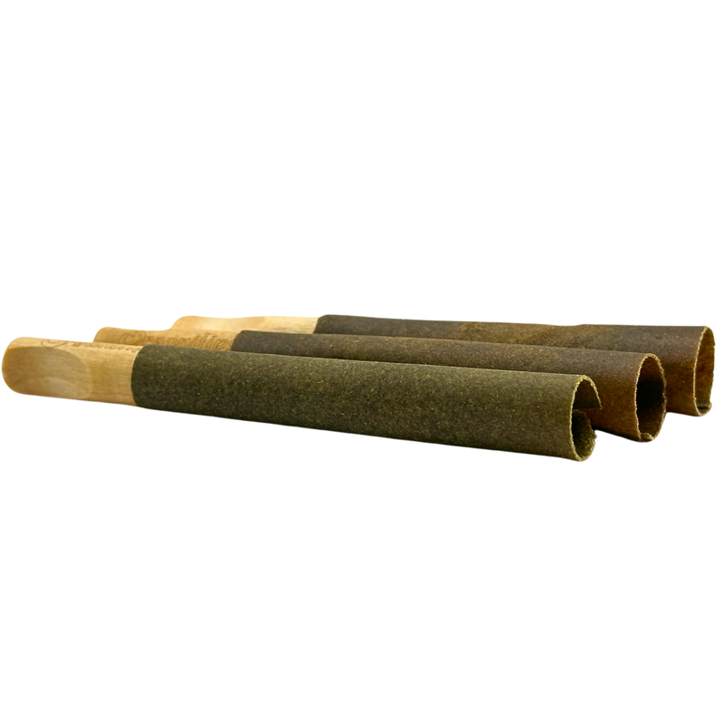 VANGYPTIAN HASH CONE