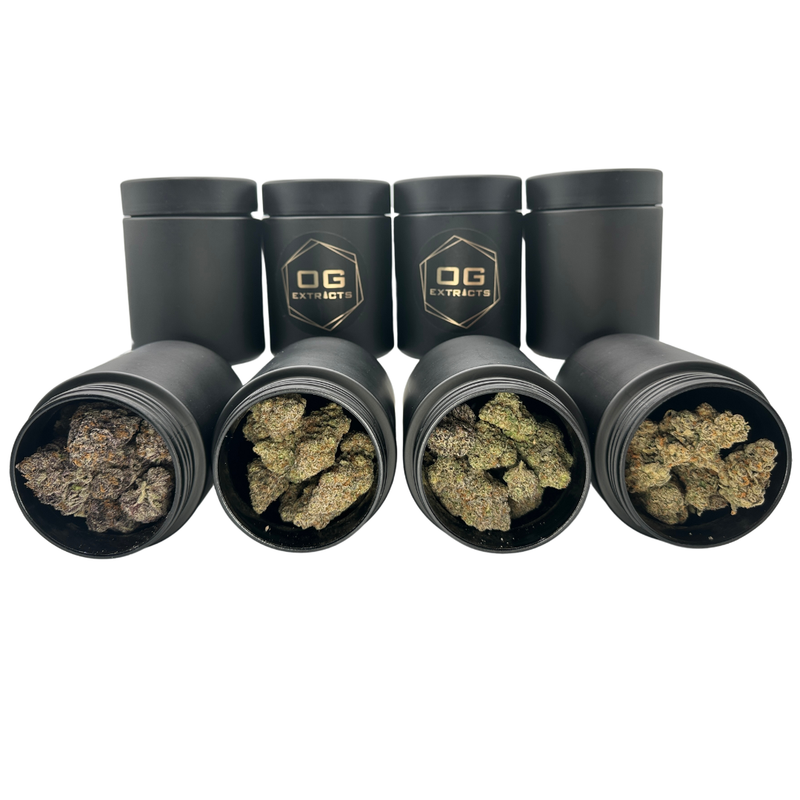 HP AAAA+ LSO VARIETY FLOWER