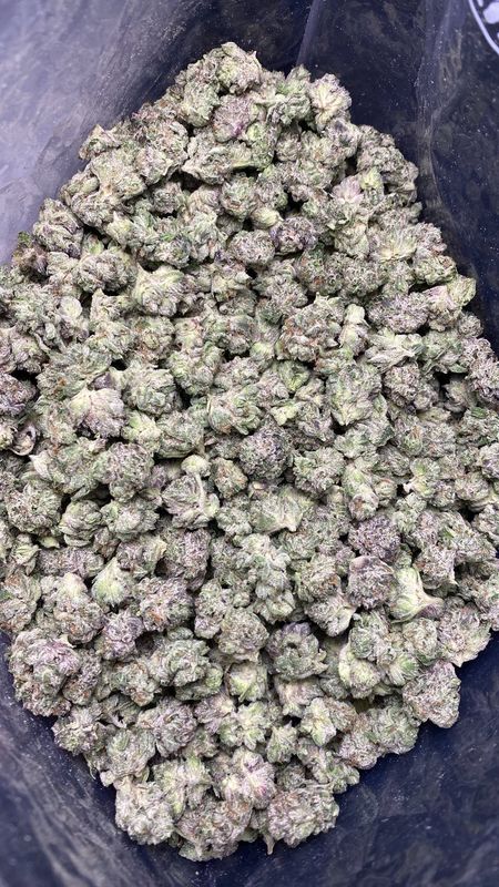 1OZ AAAA+ GHOST PINK (LSO) - SMALLS