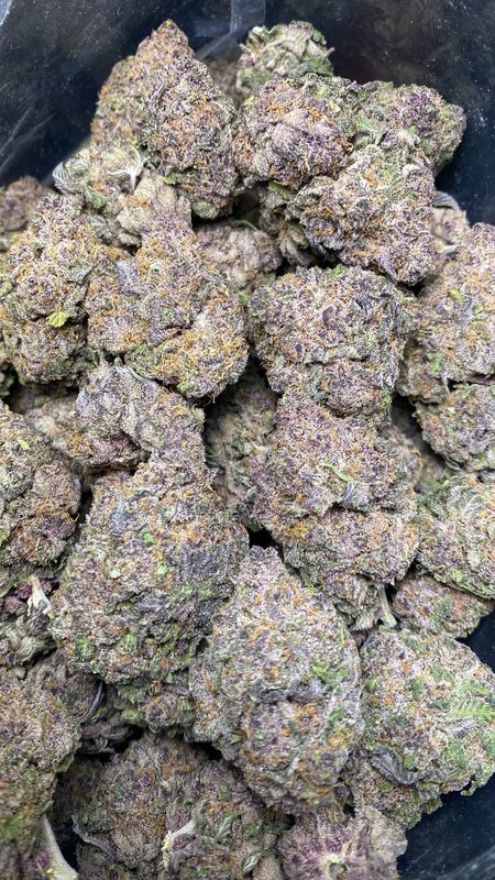 AAAA+ TROPICANA COOKIES (LS0)