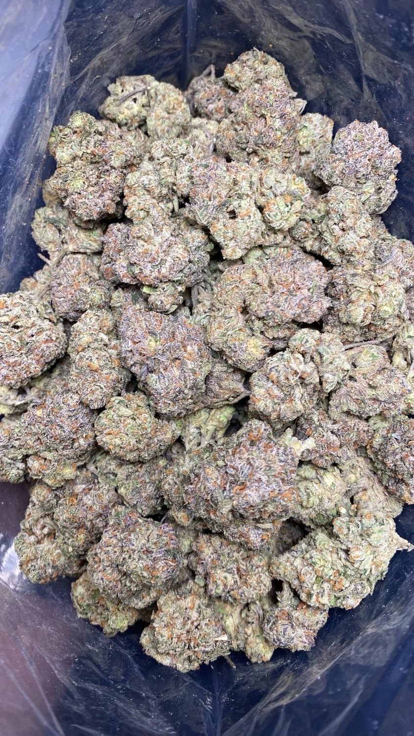 1OZ AAAA+ LEMON GELATO (LSO)