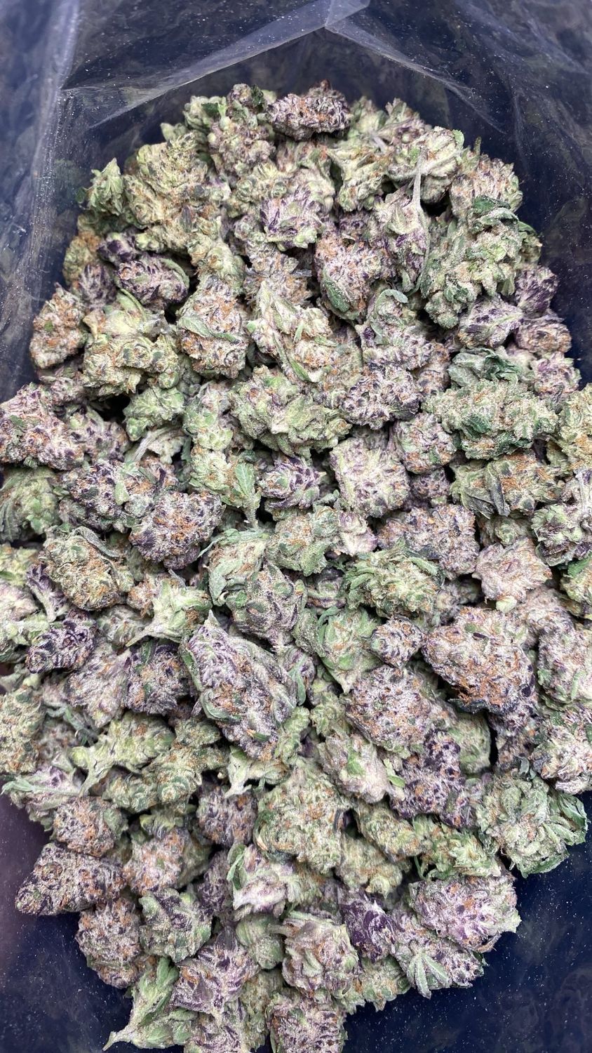 1OZ AAAA+ GRAPE YOGURT (LSO) SM/MED.