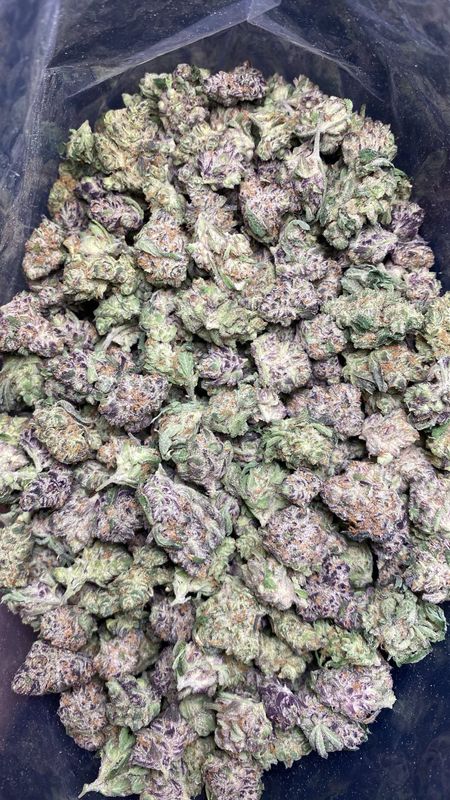1OZ AAAA+ GRAPE YOGURT (LSO) SM/MED.