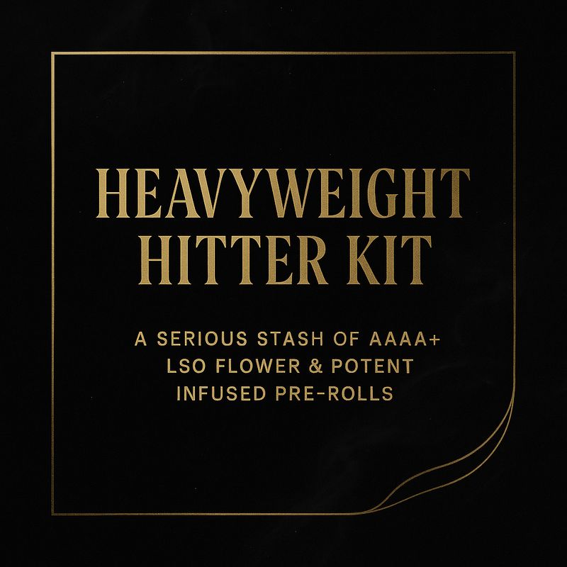 HEAVYWEIGHT HITTER KIT