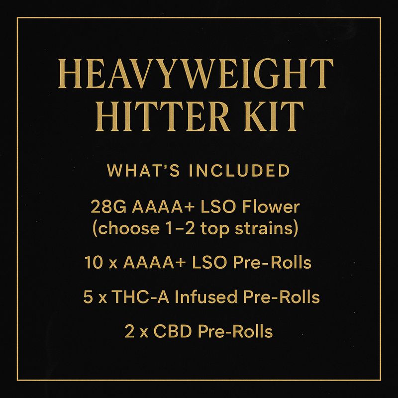 HEAVYWEIGHT HITTER KIT