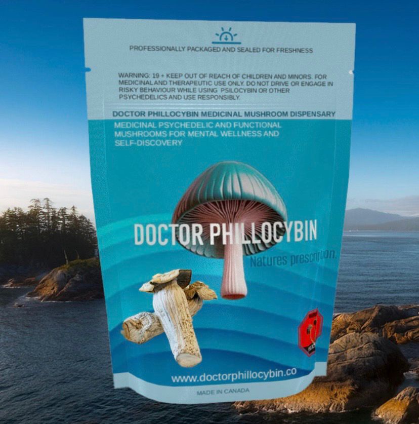DOCTOR PHILLOCYBIN - ABC EXOTIC MEDICINAL MUSHROOMS