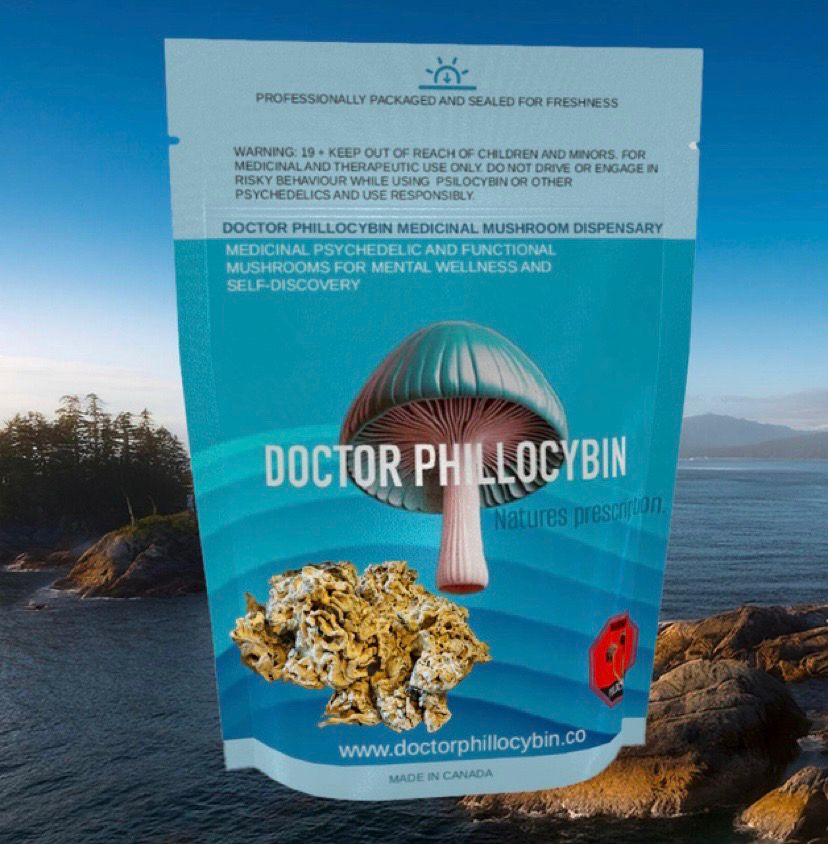DOCTOR PHILLOCYBIN - OMNI ENIGMA MEDICAL MUSHROOM