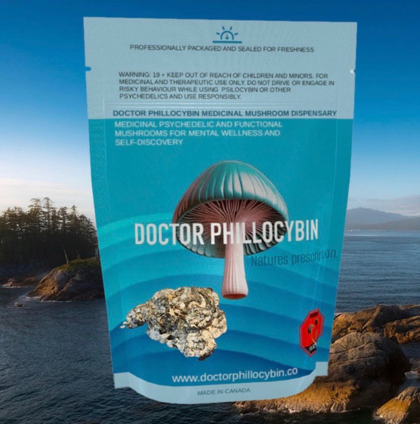 DOCTOR PHILLOCYBIN - NEBULA MEDICAL MUSHROOM