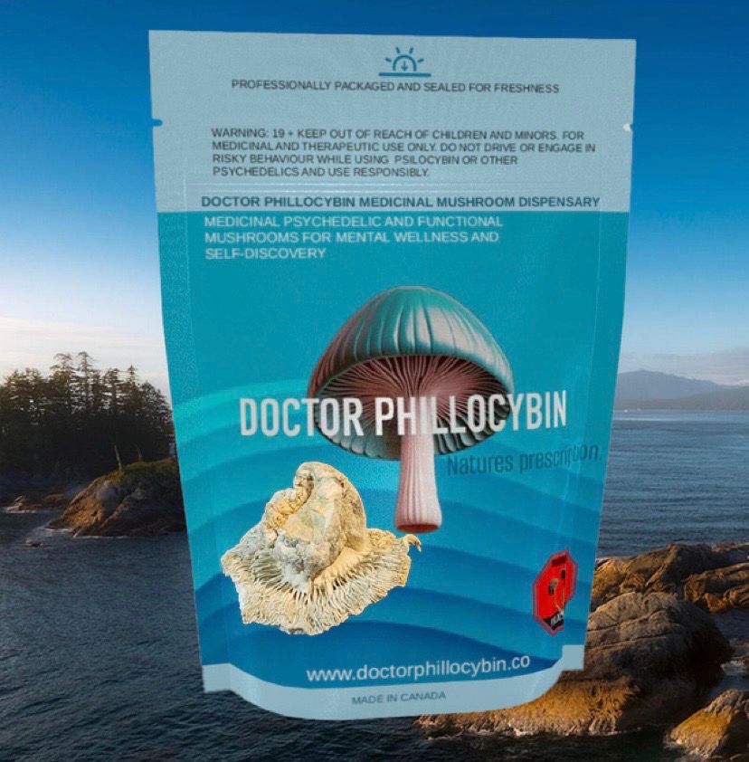 DOCTOR PHILLOCYBIN - PHOBOS EXOTIC MEDICINAL MUSHROOMS