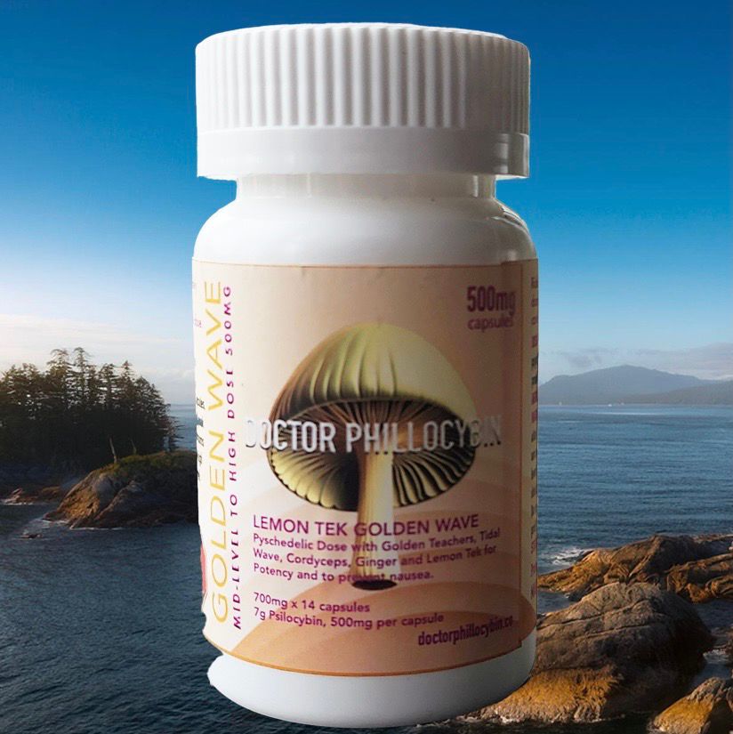 DOCTOR PHILLOCYBIN - GOLDEN WAVE PSYCHEDELIC-DOSE CAPSULES