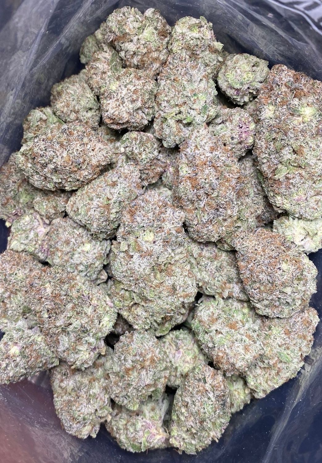 AAAA+ PAPAYA PUNCH (LS0)