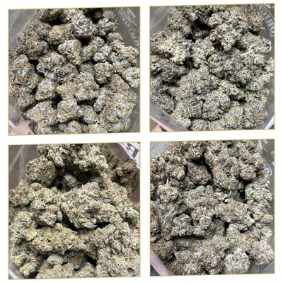 20P AAAA+ LSO VARIETY FLOWER