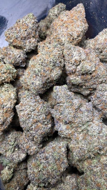 AAAA+ PURPLE MIMOSA (LS0)