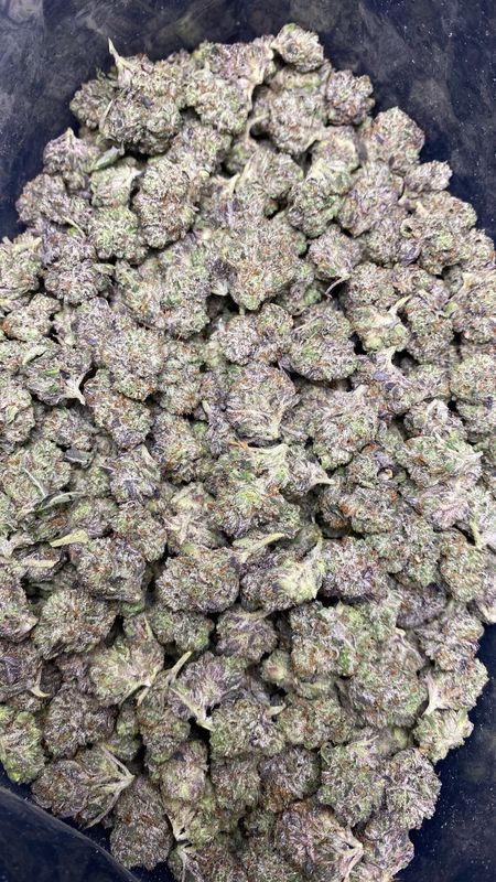 1OZ AAAA+ EL CHAPO (LSO) SM/MED.