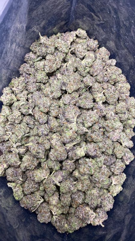 1OZ AAAA+ EL CHAPO (LSO) MED.